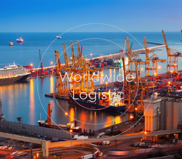 worldwide logistic mimosi