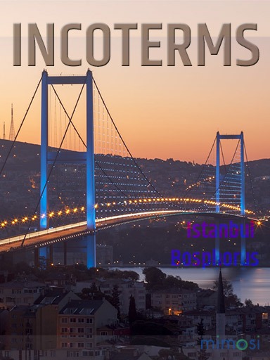 incoterms pict. istanbul logo